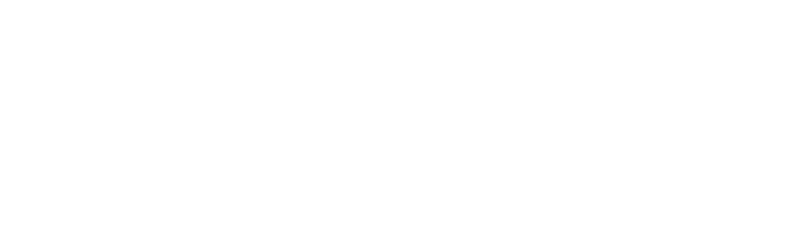 Princeton University